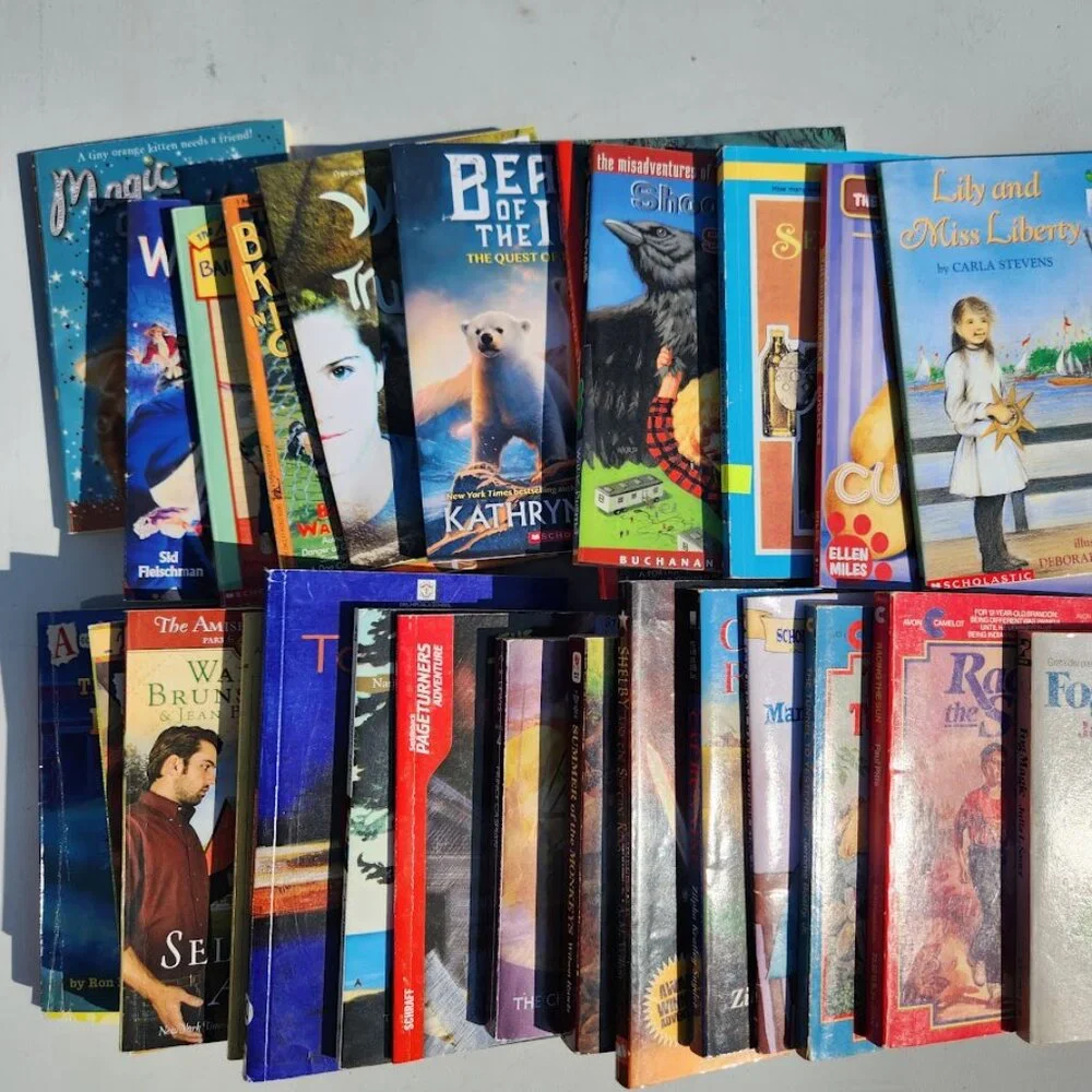 4 Book Bundle Lot Set Chapter Books Young Adult Literature Novels Mystery Books